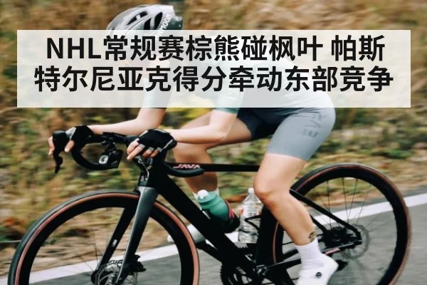 NHL常规赛棕熊碰枫叶 帕斯特尔尼亚克得分牵动东部竞争